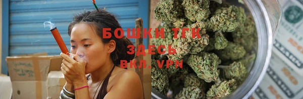 хмурый Ветлуга