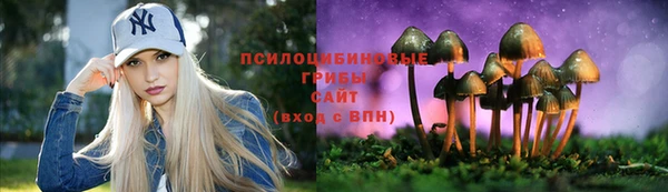 меф Алексин