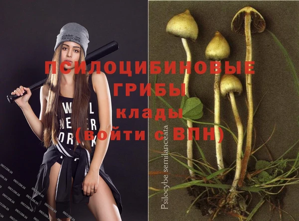 молекула духа Алзамай
