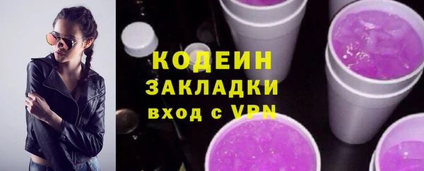 хмурый Ветлуга